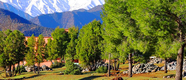 The middle  atlas mountains