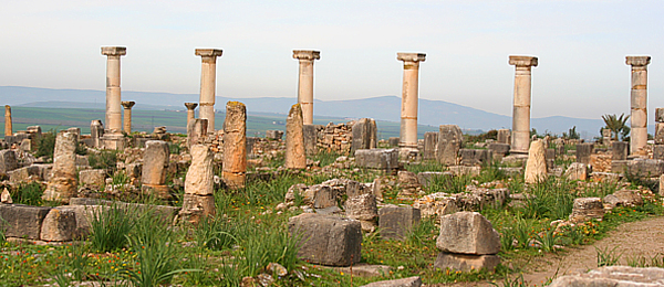 Meknes & Volubilis Roman Ruins & moulay idriss