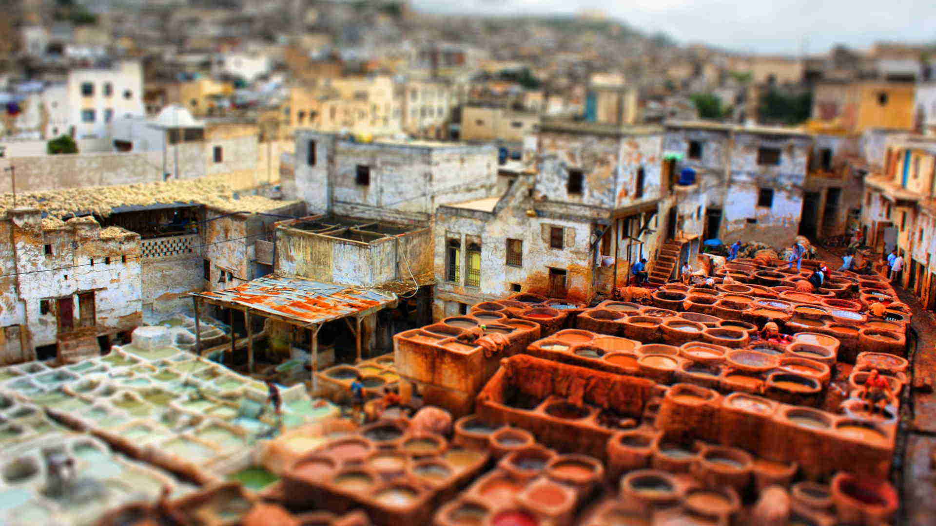 Fes guided tours
